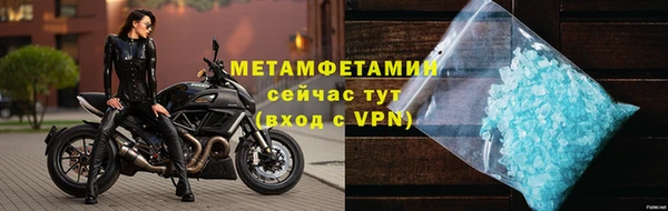 прущие грибы Осинники