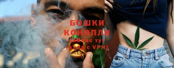 прущие грибы Осинники