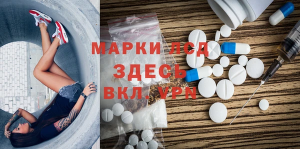 прущие грибы Осинники