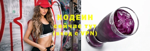 прущие грибы Осинники