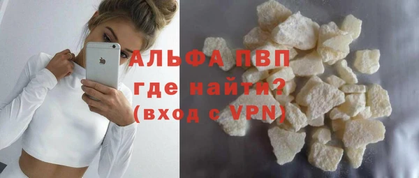 стафф Осташков