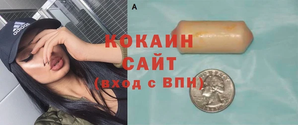 стафф Осташков
