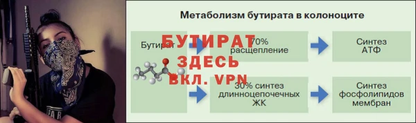 стафф Осташков