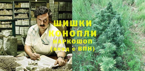 стафф Осташков